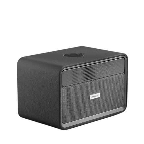 Hifuture Passion X Black 100W Wireless Bluetooth Speaker