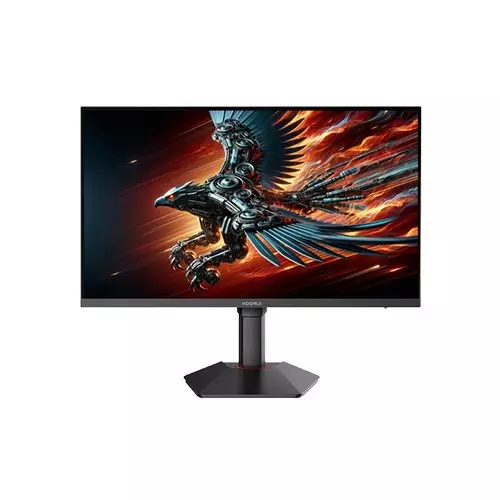 Koorui G2511E 24.5 Inch IPS FHD 320HZ Gaming Monitor