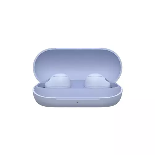 Sony Wireless Noise Cancelling TWS Earbuds (WF-C700N)